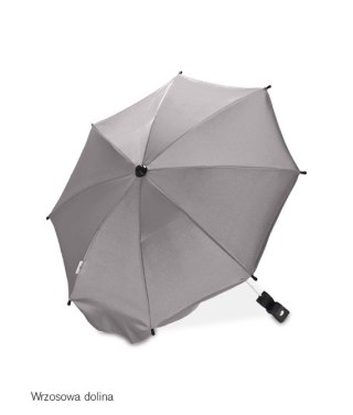 19 PARASOLKA WRZOSOWA DOLINA