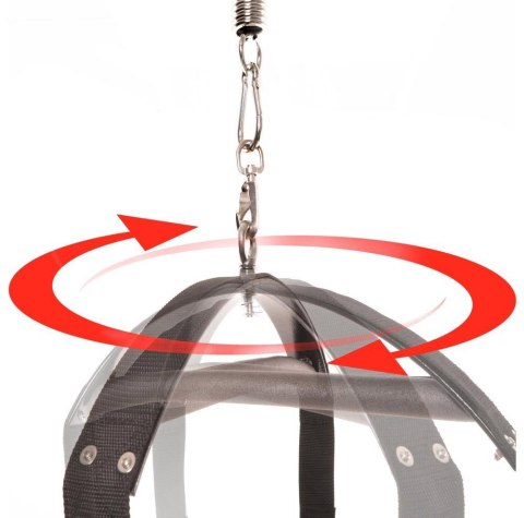 FFS Spinning Fantasy Swing Fetish Fantasy Series