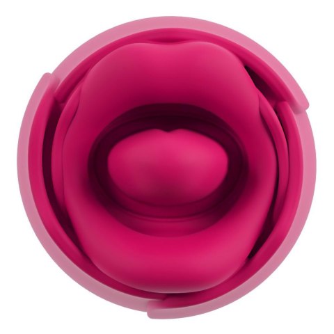Oral Fun Tongue Vibrator You2Toys