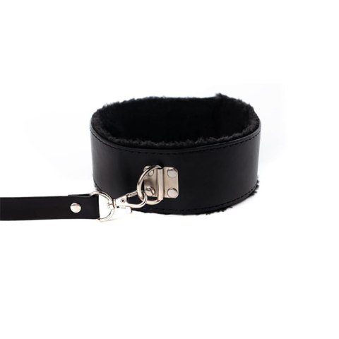 Collar with detachable leash Fantasy