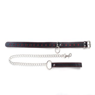 Collar with detachable leash Fantasy