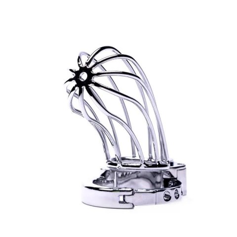 Stainless Steel Penis Cage 2 with Advanced Locking Mechanism Fantasy