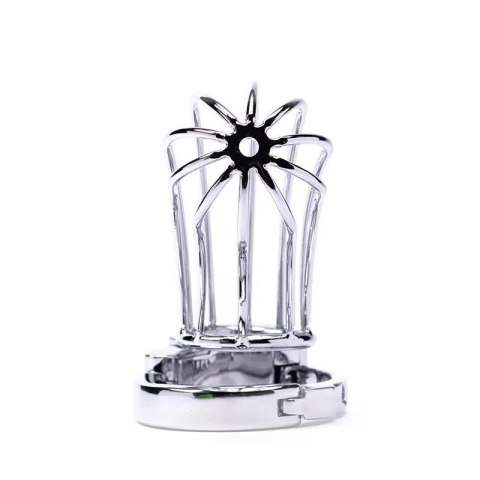 Stainless Steel Penis Cage 2 with Advanced Locking Mechanism Fantasy
