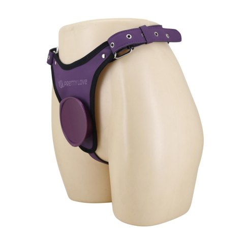 Pretty Love Caldric III Purple Universal Harness Briefs Pretty Love
