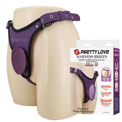 Pretty Love Caldric III Purple Universal Harness Briefs Pretty Love