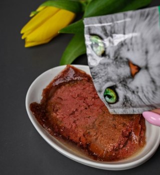 Josera Pate Kurczak Ze Szpinakiem 85g Josera