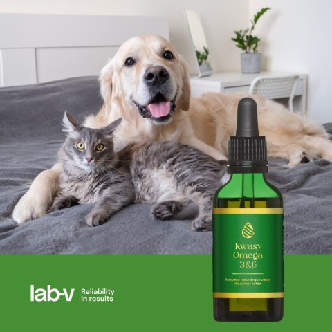 Lab-v Kwasy Tłuszczowe Omega 3 i 6 stosowane na ogólną poprawę stanu zdrowia oraz sierści i skóry dla psów i kotów 100ml LAB-V