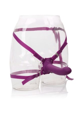 Me2 Rumbler Purple CalExotics
