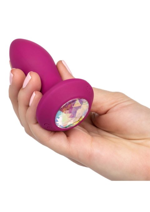 Vibrating Petite Crystal Probe Purple CalExotics