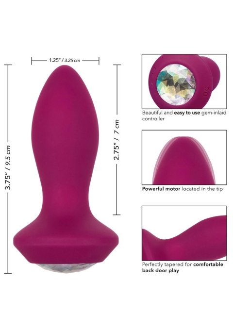Vibrating Petite Crystal Probe Purple CalExotics