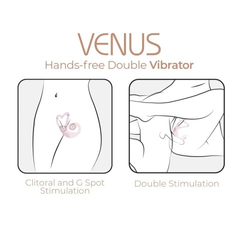 AD. Venus + APP Adrien Lastic