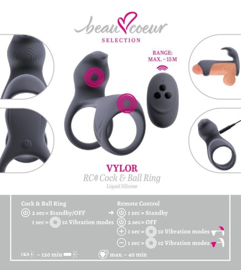 Beau coeur Vylor RC Beau coeur
