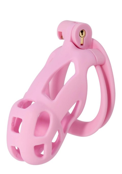 Penis Prison Cock Cage Regular Pink Hidden Desire