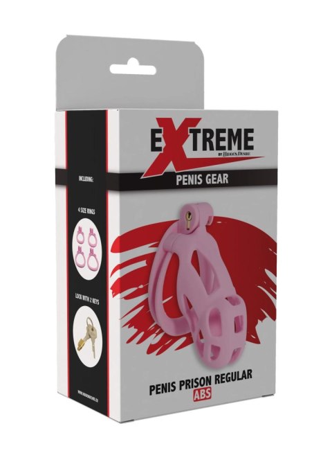 Penis Prison Cock Cage Regular Pink Hidden Desire