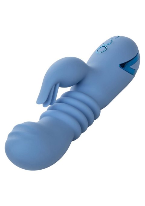 Santa Cruz Coaster Blue CalExotics