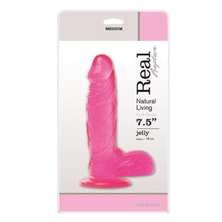 Dildo-JELLY DILDO REAL RAPTURE PINK 7.5" Real Rapture