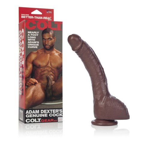 COLT Adam Dexter Cock Brown skin tone CalExotics