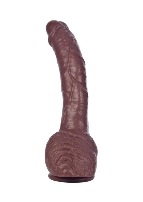 COLT Adam Dexter Cock Brown skin tone CalExotics