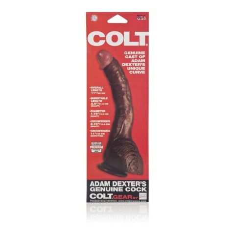 COLT Adam Dexter Cock Brown skin tone CalExotics