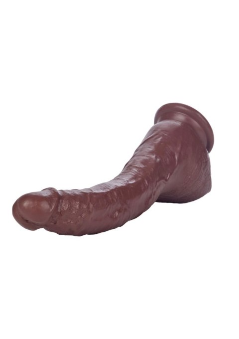 COLT Adam Dexter Cock Brown skin tone CalExotics