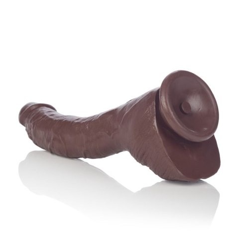 COLT Adam Dexter Cock Brown skin tone CalExotics