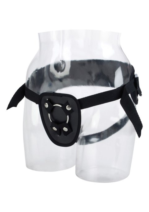 Power Support Harness Black CalExotics