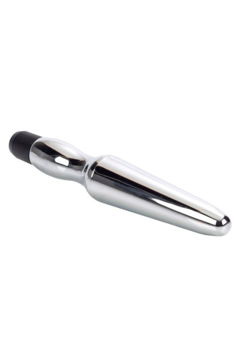 Waterproof Anal Probe Silver CalExotics