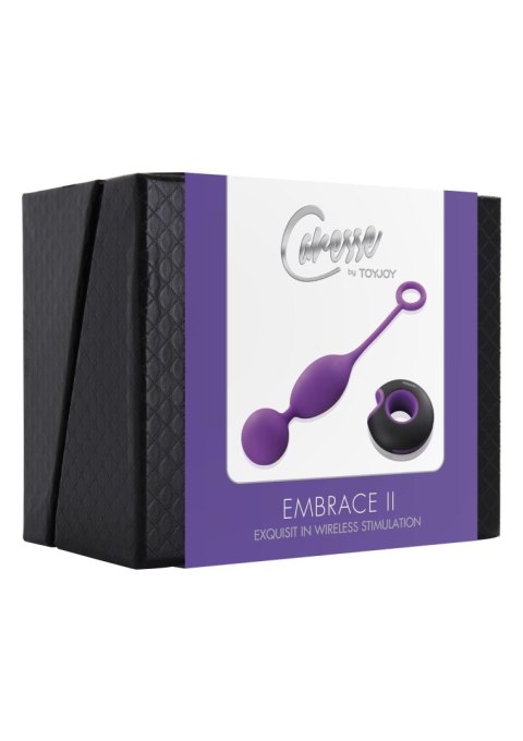 Embrace II Remote control egg Purple TOYJOY