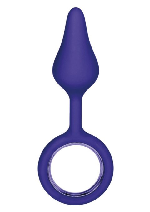 Plug-BOOTY TICKLER PURPLE TOYJOY