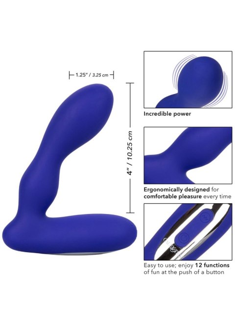 Eclipse Pleasure Probe Blue CalExotics