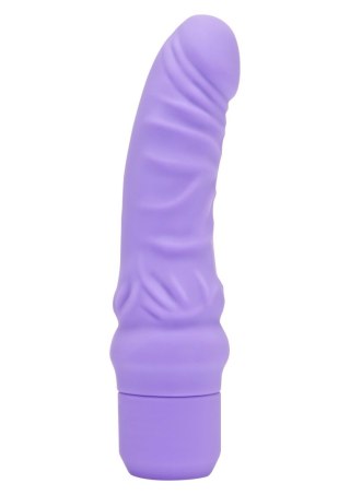 Mini Classic G-Spot Vibrator Purple TOYJOY