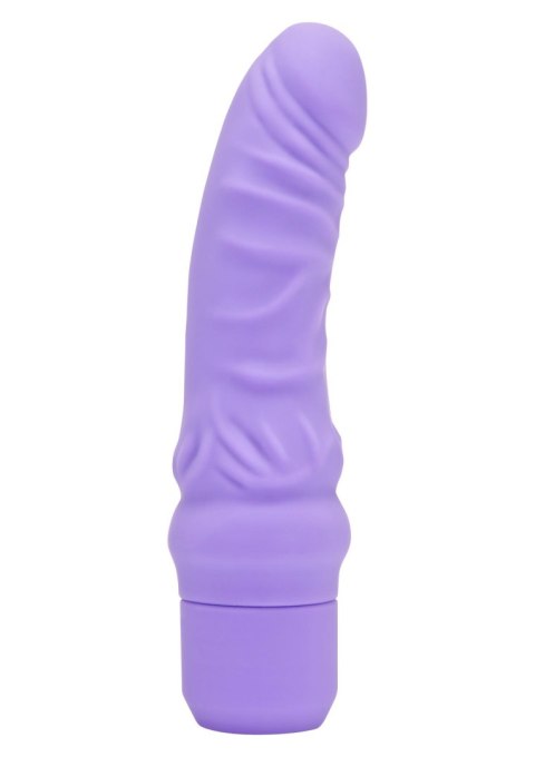 Mini Classic G-Spot Vibrator Purple TOYJOY