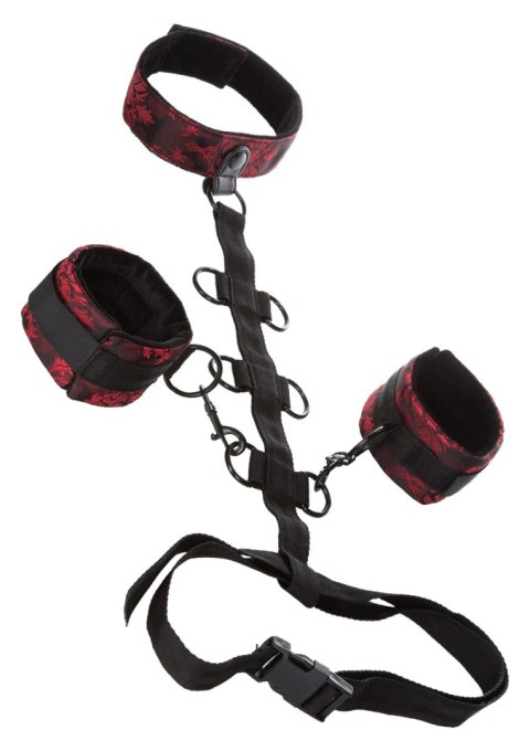 Scandal Collar Body Restraint Black CalExotics