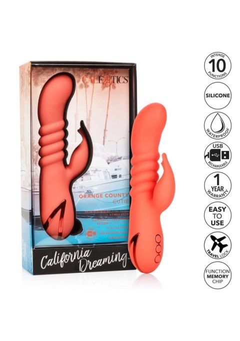 Orange County Cutie Orange CalExotics