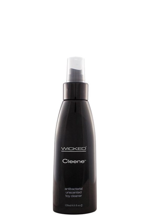 WICKED ANTI-BACTERIAL TOY CLEANER 120ML Wicked Sensual Care