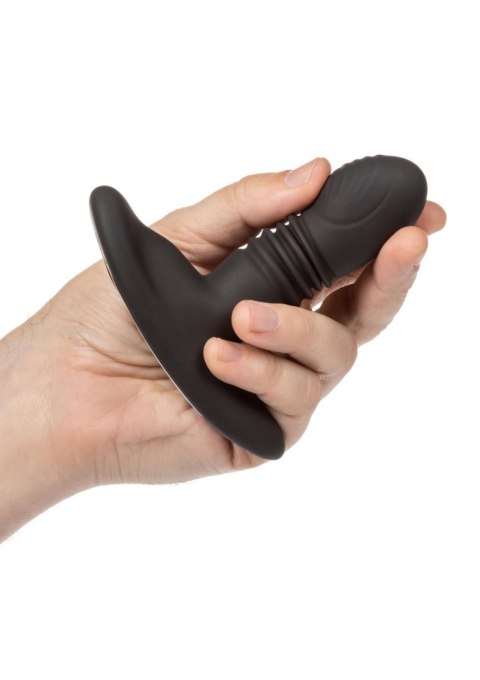 Eclipse Thrusting Probe Black CalExotics
