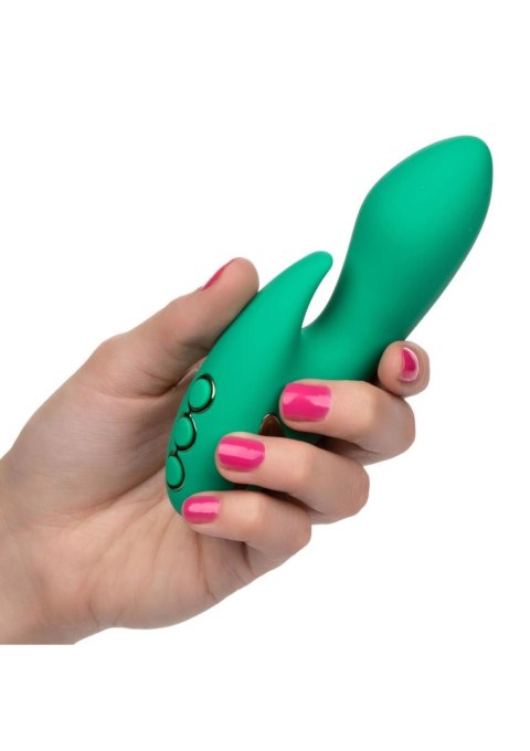 Sierra Sensation Green CalExotics