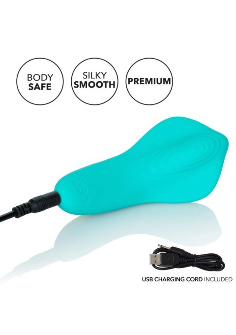 Slay Pleaser Aqua CalExotics