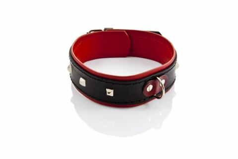 Wiązania-WHIPS obroża damska z ćwiekami Whips Collection