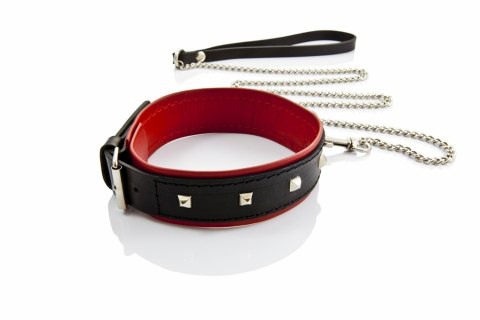 Wiązania-WHIPS obroża damska z ćwiekami i smyczą Whips Collection