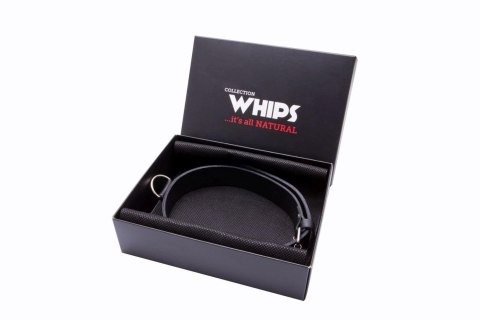 Wiązania-WHIPS obroża męska wąska Whips Collection
