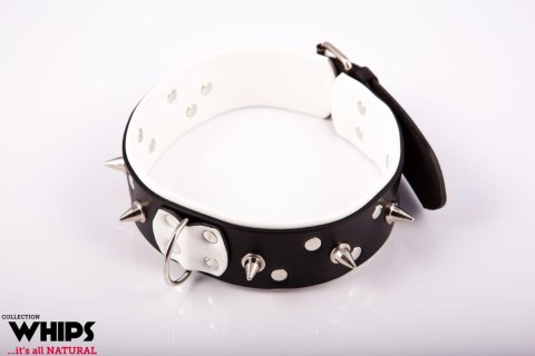 Wiązania - Obroża męska ze smyczą, biała Whips Collection