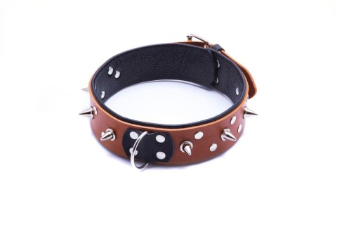 Wiązania-WHIPS obroża męska ze smyczą, koniakowa Whips Collection