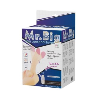 BAILE - Mr. BIG Rotation & Vibration BAILE