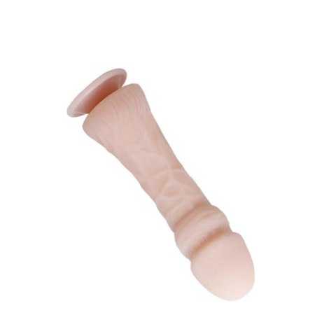 BAILE - The Big Penis BAILE