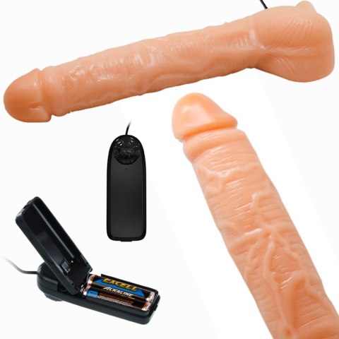 BAILE - Penis Vibration BAILE