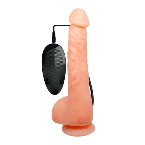 BAILE- JASSON 9.8''Multi Speed of Vibration BAILE