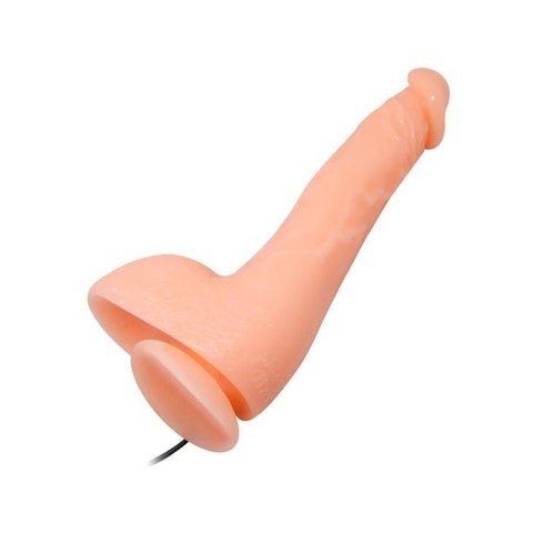 BAILE- JASSON 9.8''Multi Speed of Vibration BAILE