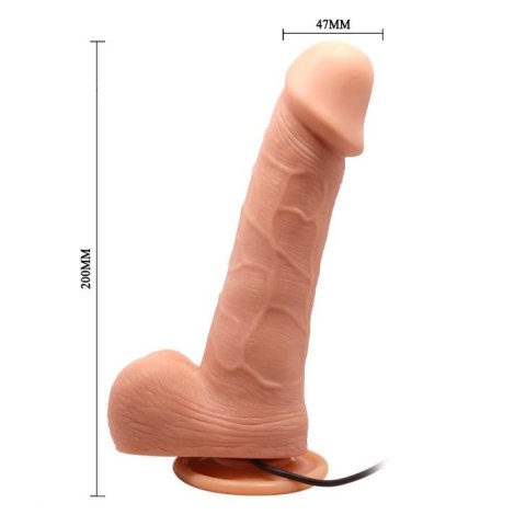 BAILE- BARBARA Ken 7,8'' BAILE