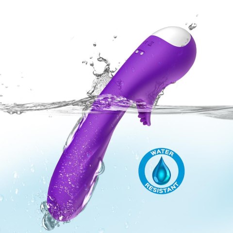 Romance purple B - Series Joy